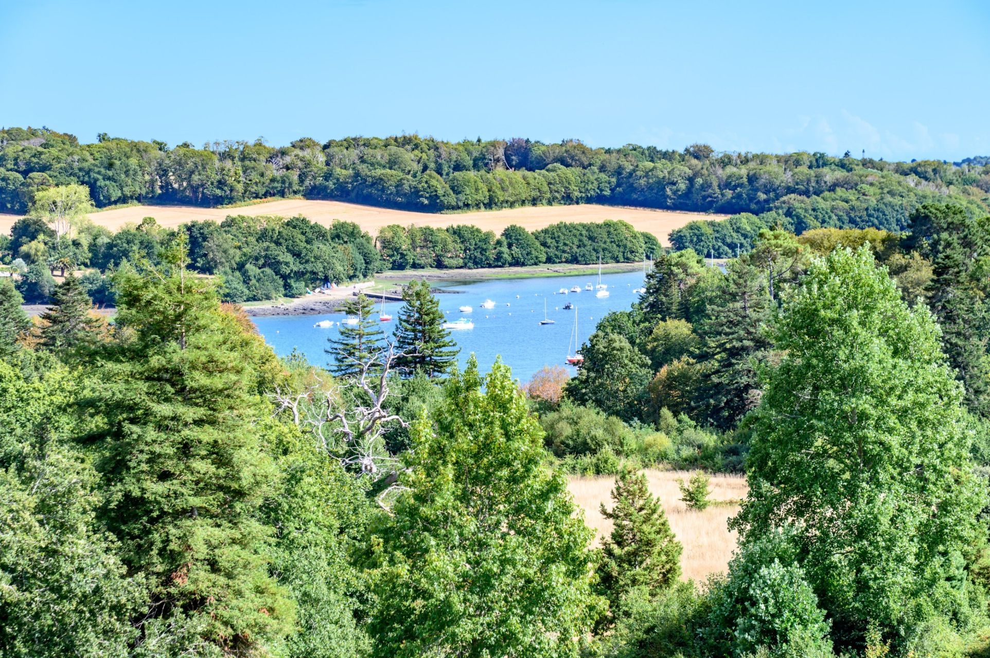 castle 20 Rooms for sale on QUIMPER (29000)