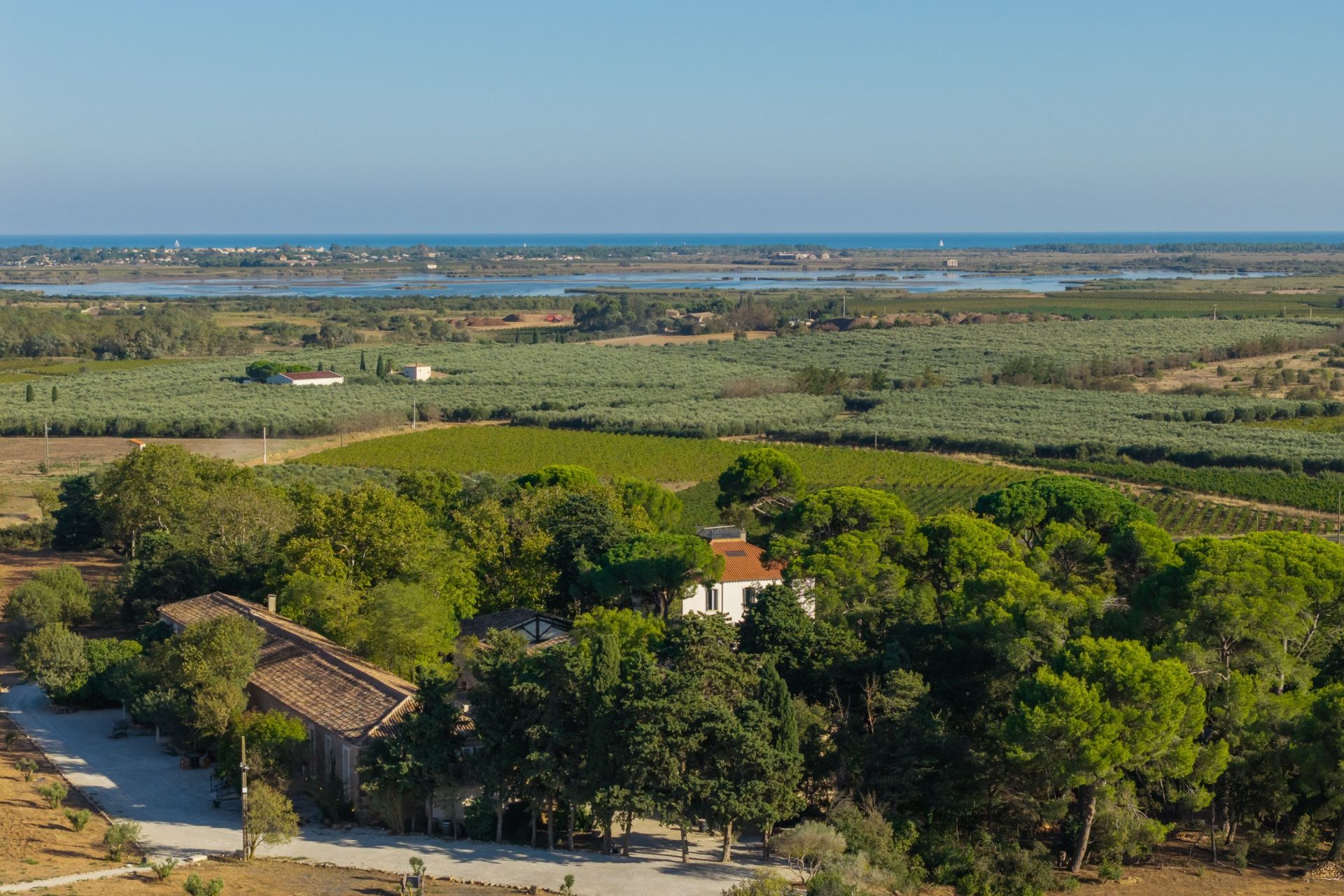 luxury property 56 Rooms for sale on LE GRAU D AGDE (34300)