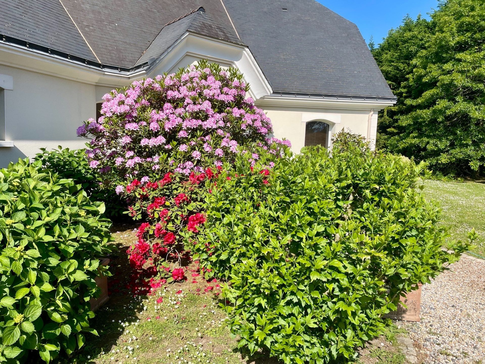 luxury house 6 Rooms for sale on LA BAULE ESCOUBLAC (44500)