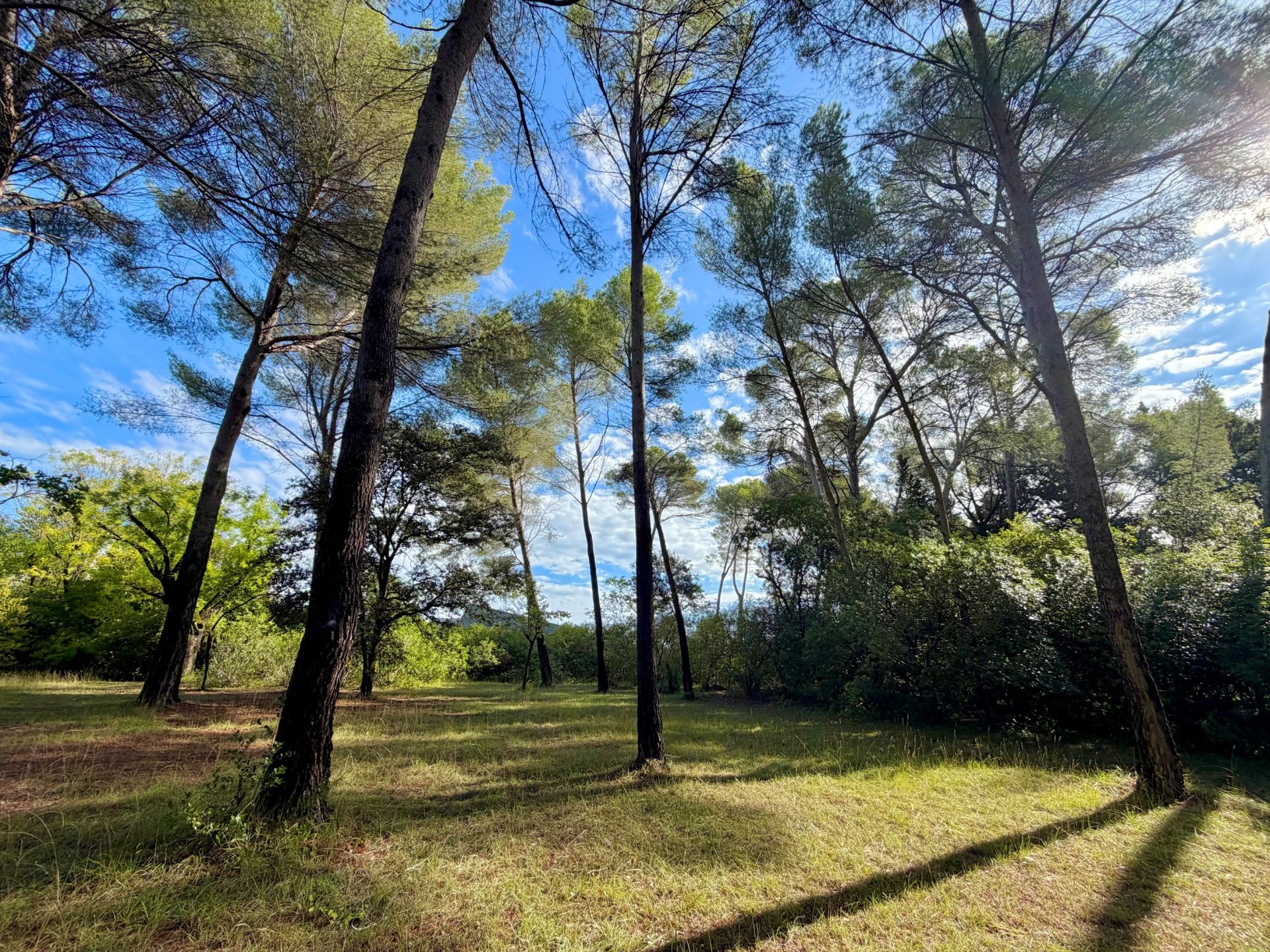 maison de luxe 21 Pièces en vente sur MONTPELLIER (34000)
