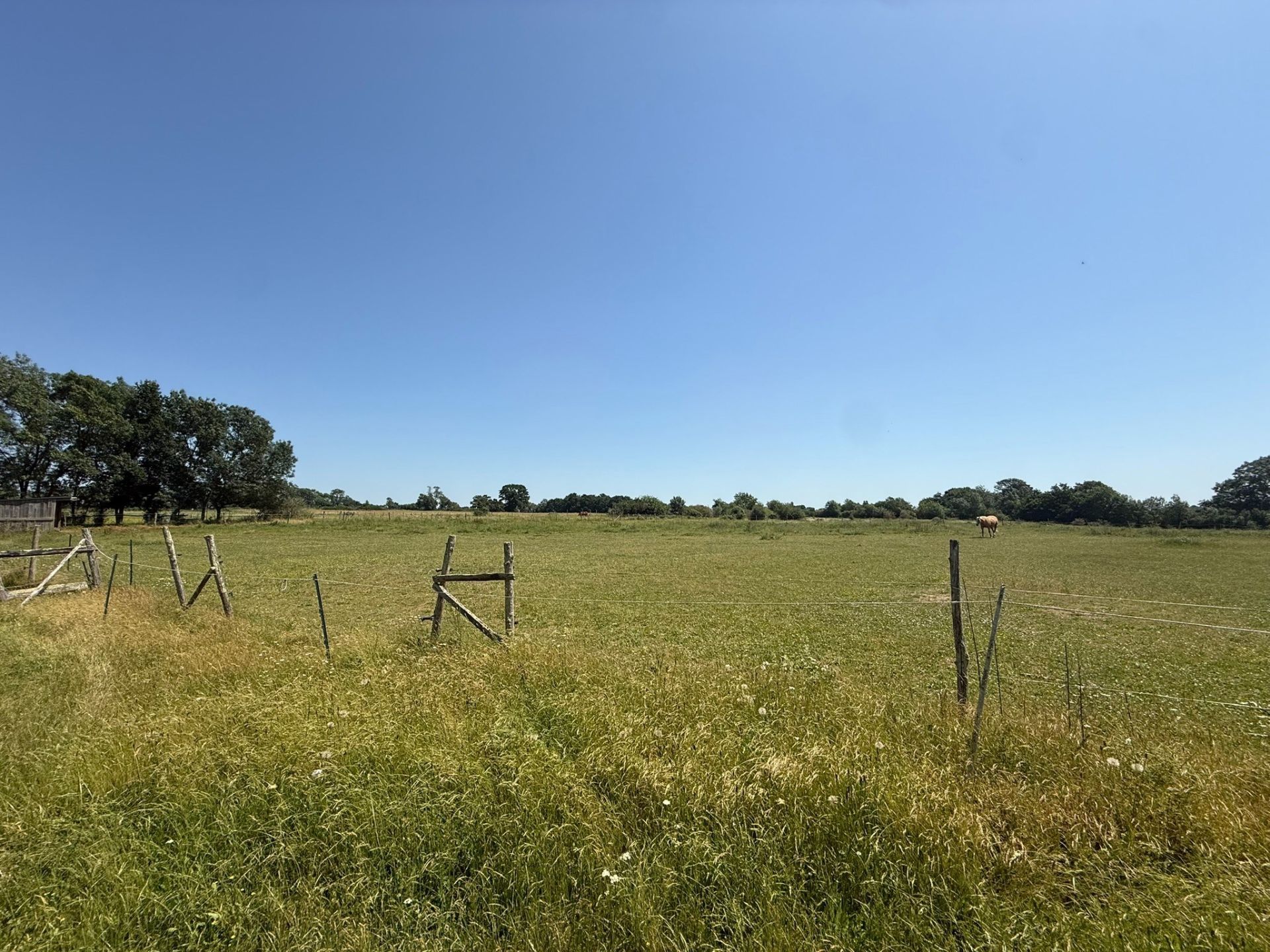 equestrian property 6 Rooms for sale on LIGNE (44850)