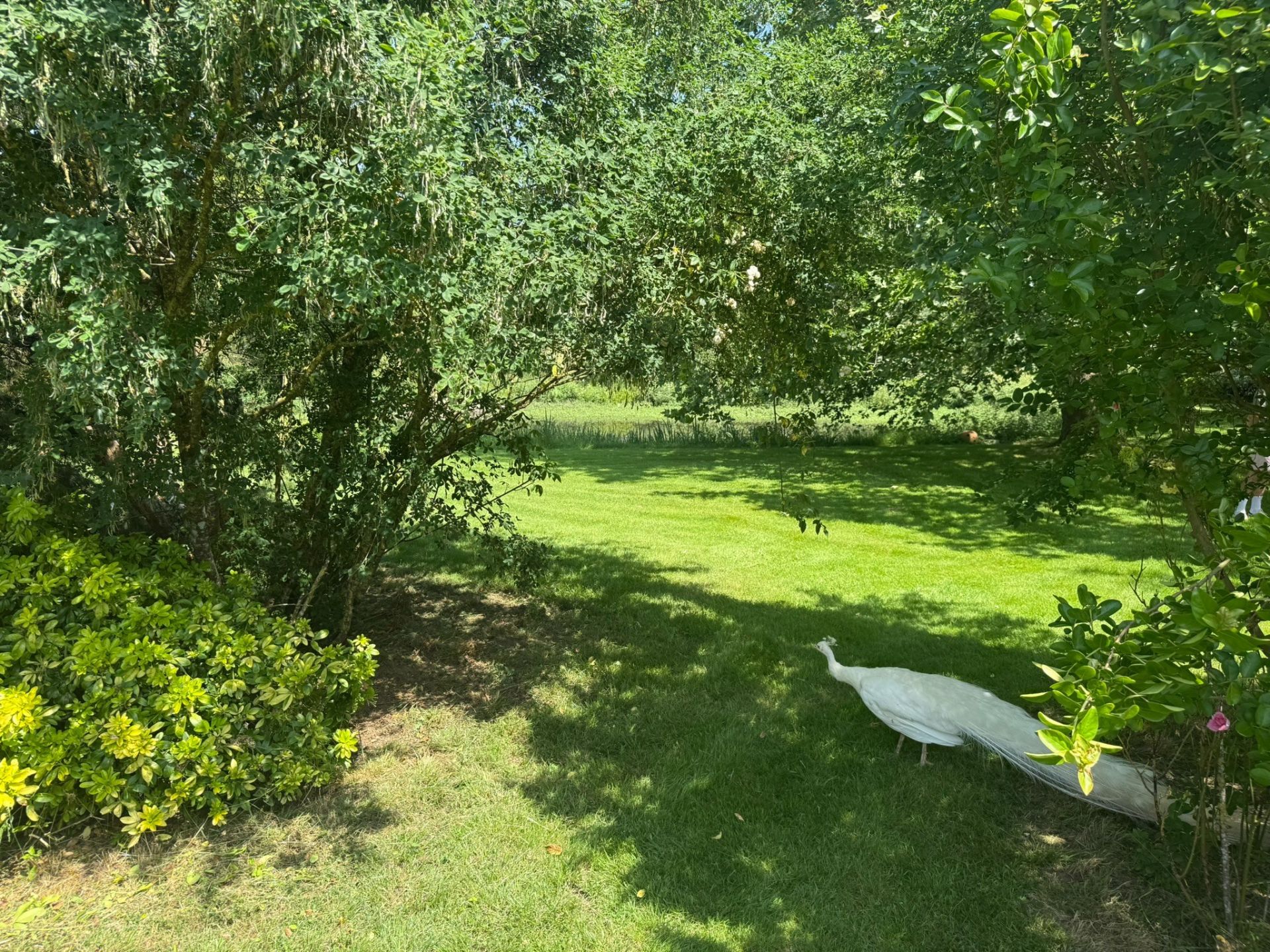 equestrian property 6 Rooms for sale on LIGNE (44850)