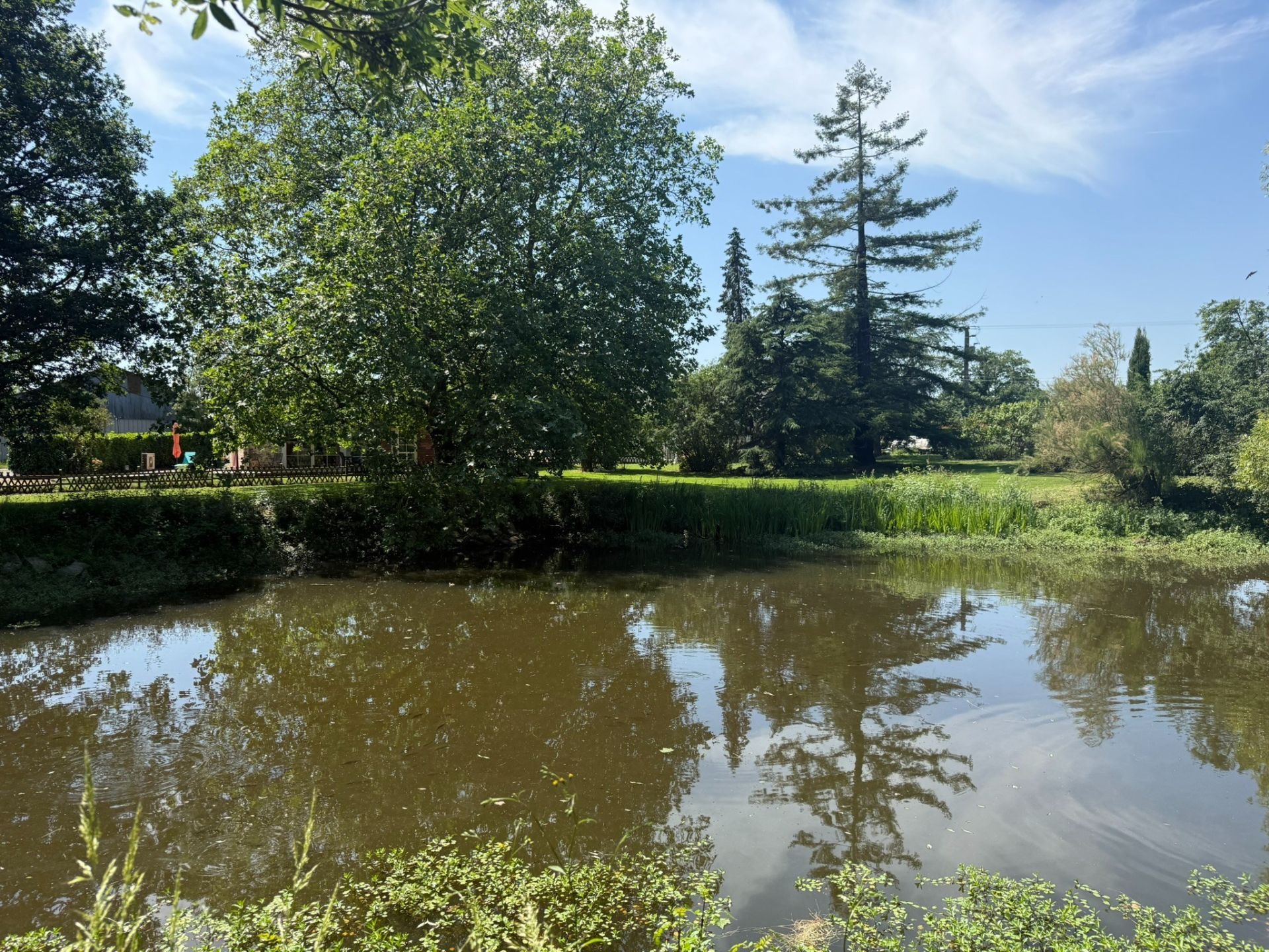 equestrian property 6 Rooms for sale on LIGNE (44850)