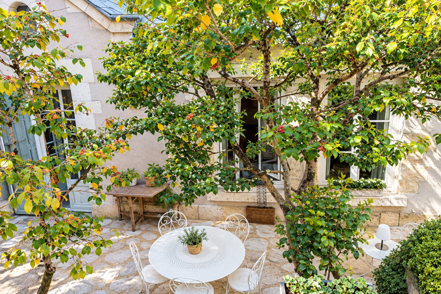maison de luxe 11 Pièces en vente sur BLOIS (41000)