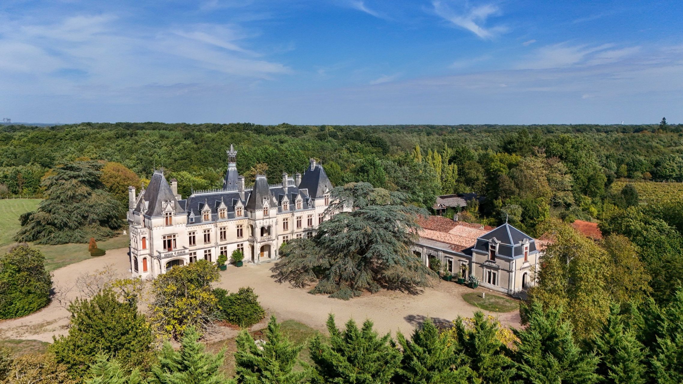 château 23 Pièces en vente sur FONTCOUVERTE (17100)