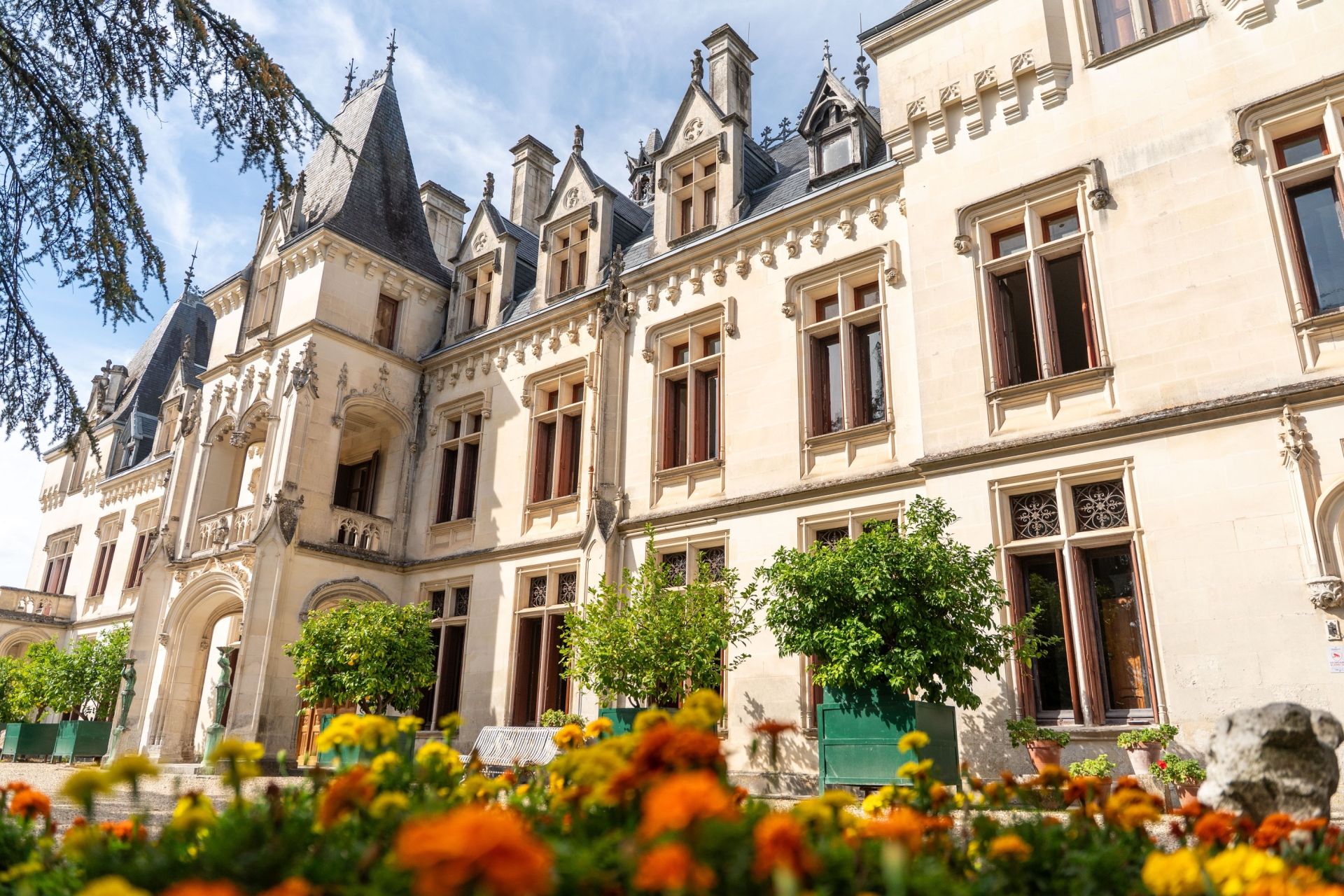 château 23 Pièces en vente sur FONTCOUVERTE (17100)