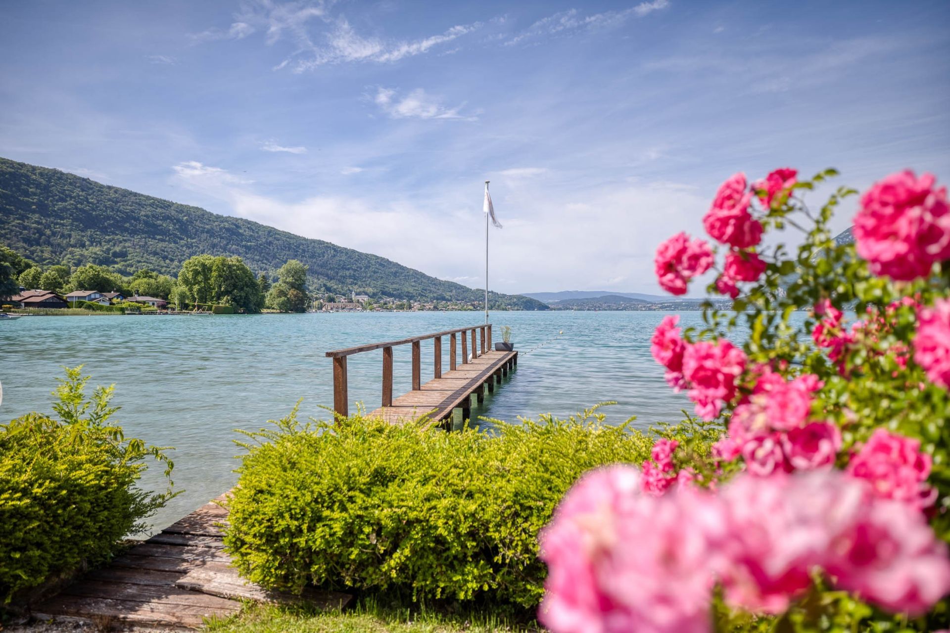 propriété de luxe 15 Pièces en vente sur ANNECY (74000)