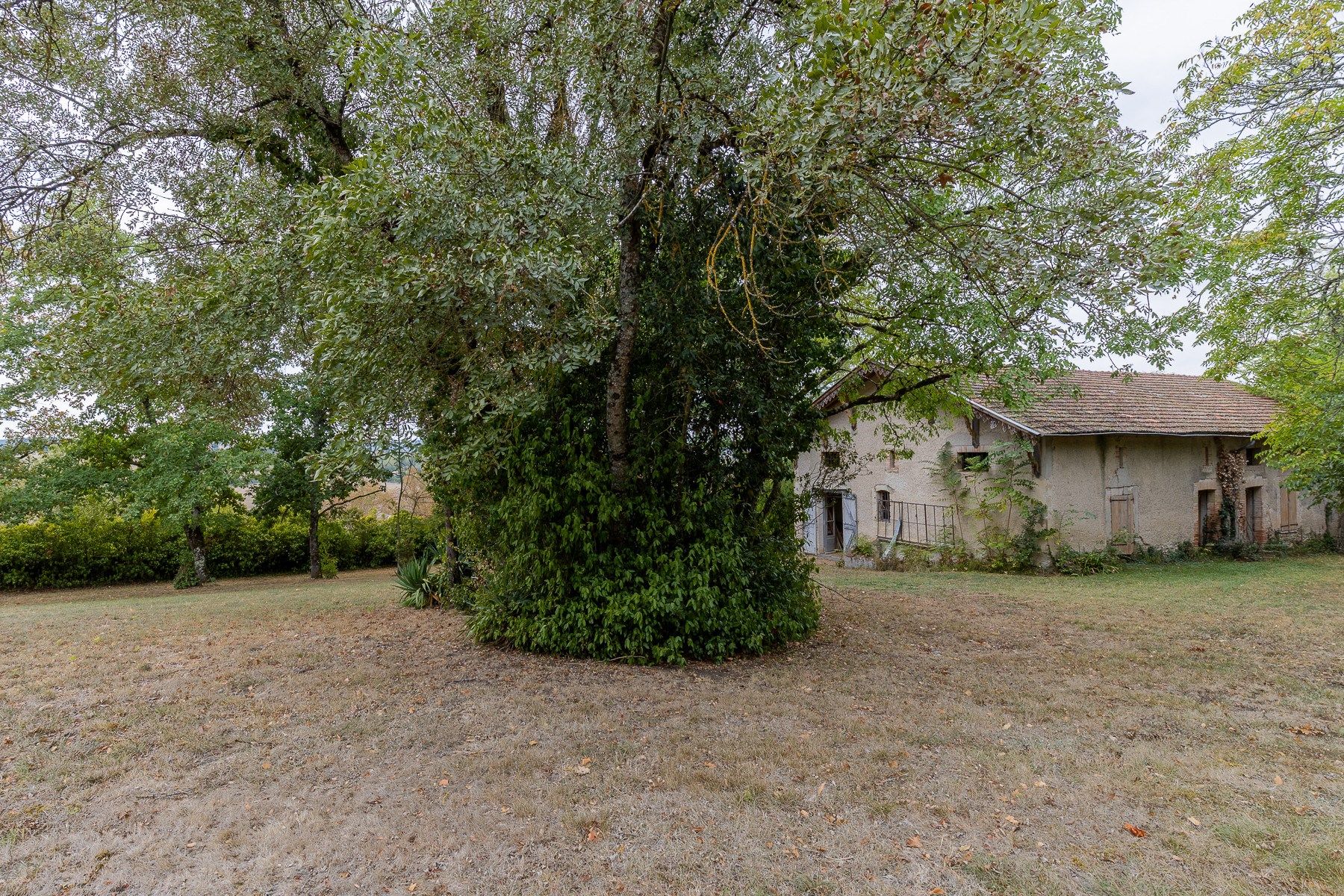 maison de maître 15 Pièces en vente sur LAVAUR (81500)