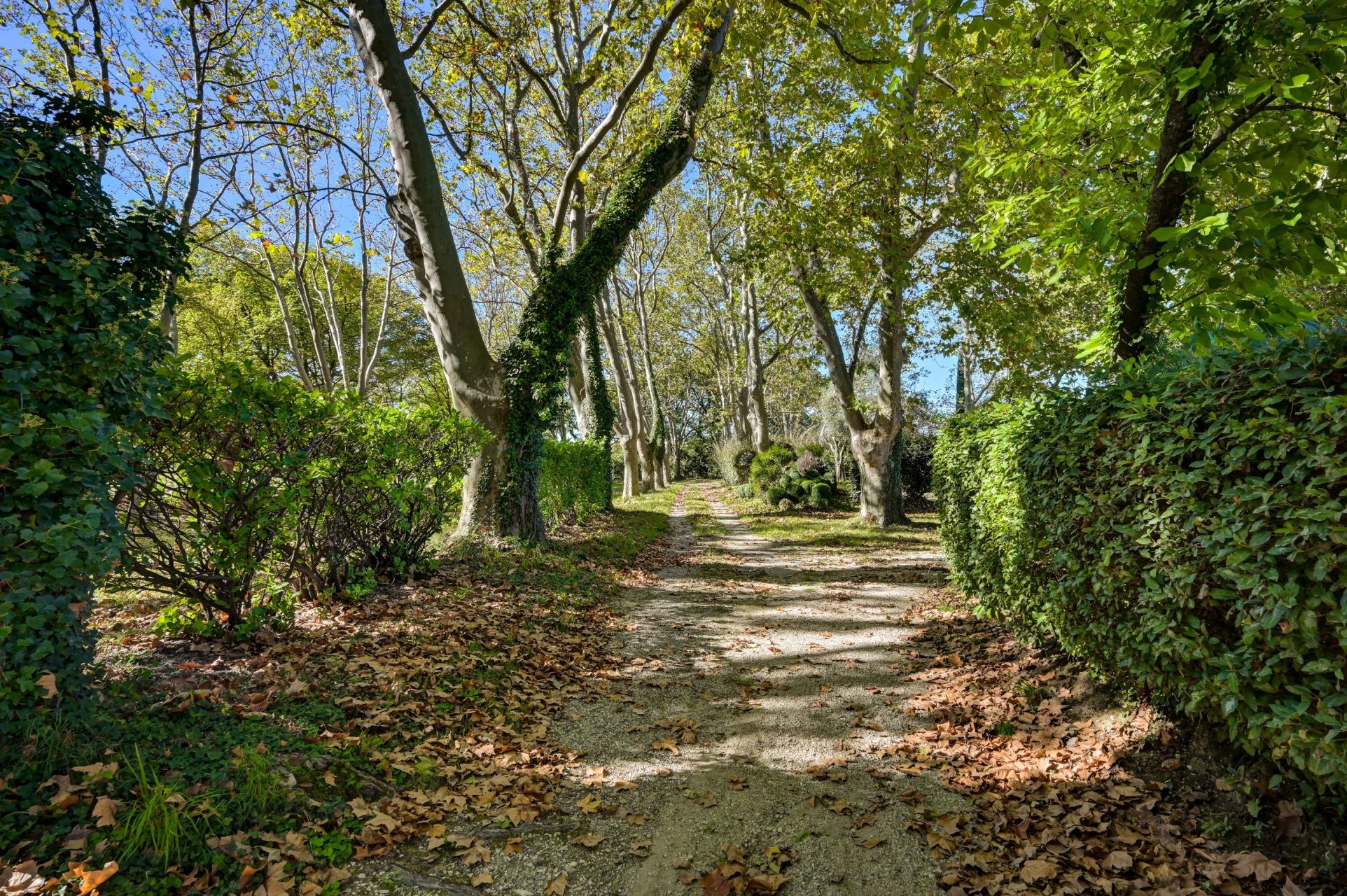 luxury house 10 Rooms for sale on AIX EN PROVENCE (13100)