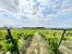 propriété viticole 11 Pièces en vente sur CARCASSONNE (11000)