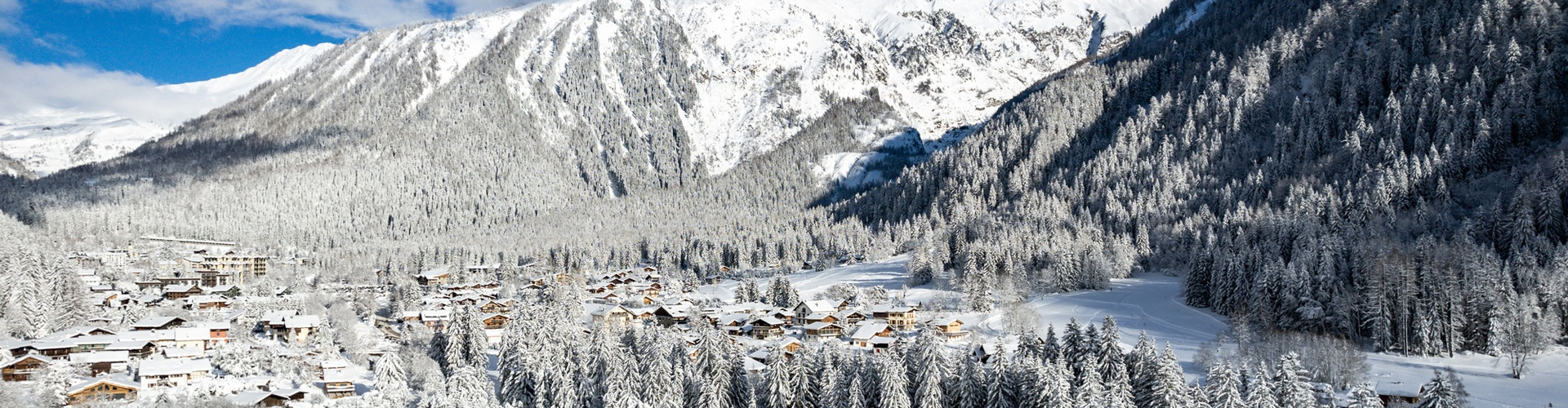 Argentière Sotheby's International Realty France Monaco